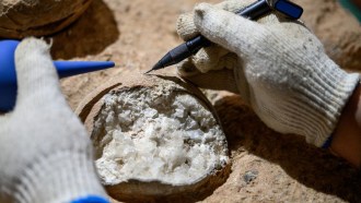 A photograph of a scientist examining a fossilized dinosaur egg filled with crystals of calcite.