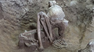 A folded up skeleton with what looks like the knees near the skull sits on dirt. Researchers say it's an example of the oldest mummies every found.