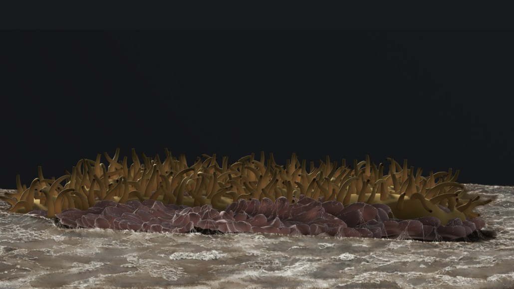 This illustration shows what some ancient animals might have looked like. Golden-brown squiggly projections cover its top and it's drawn lying atop of a punk bumpy surface.