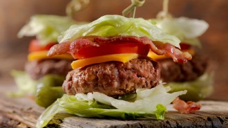 A hamburger with lettuce instead of a bun is a type of keto meal.