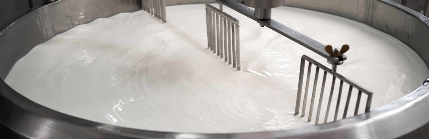 Milk in a silver vat being prepped for pasteurization.