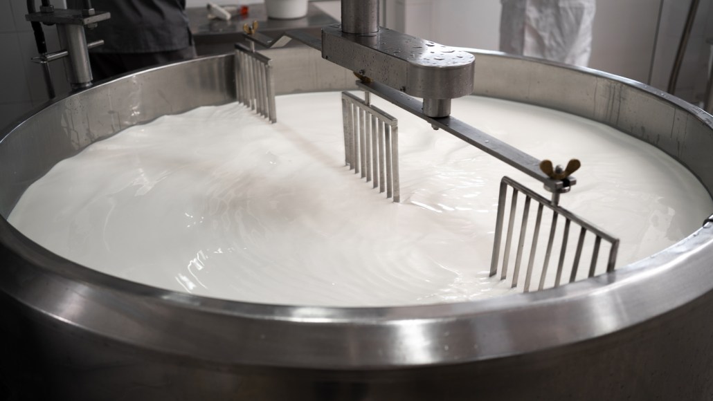 Milk in a silver vat being prepped for pasteurization.