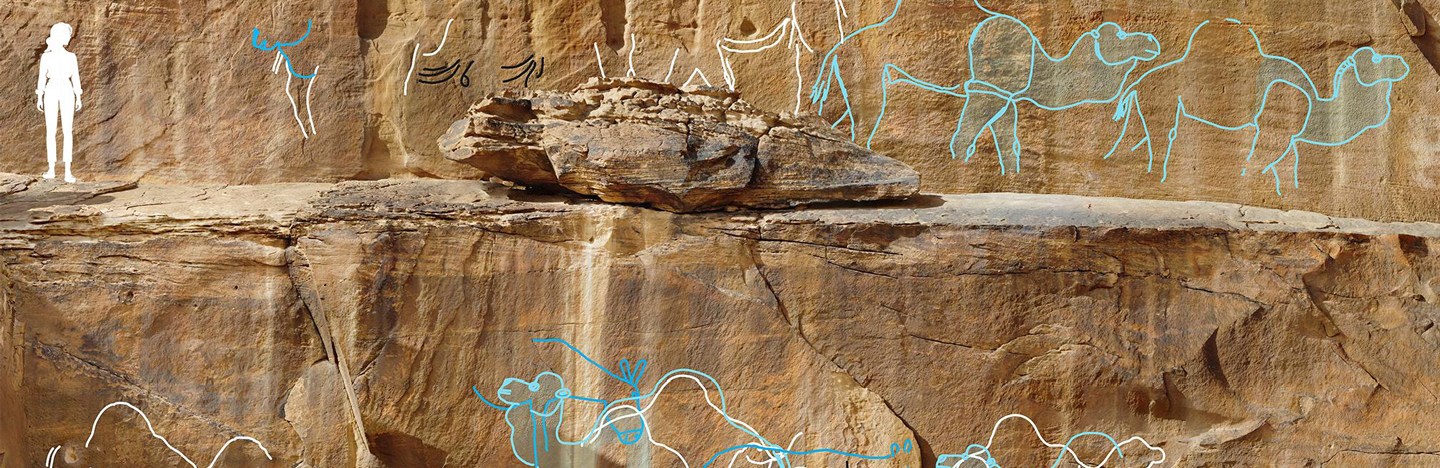 A rock face with life-size rock art engravings of camels found in the Arabian Desert with the silhouette of a woman overlayed on the image for scale.