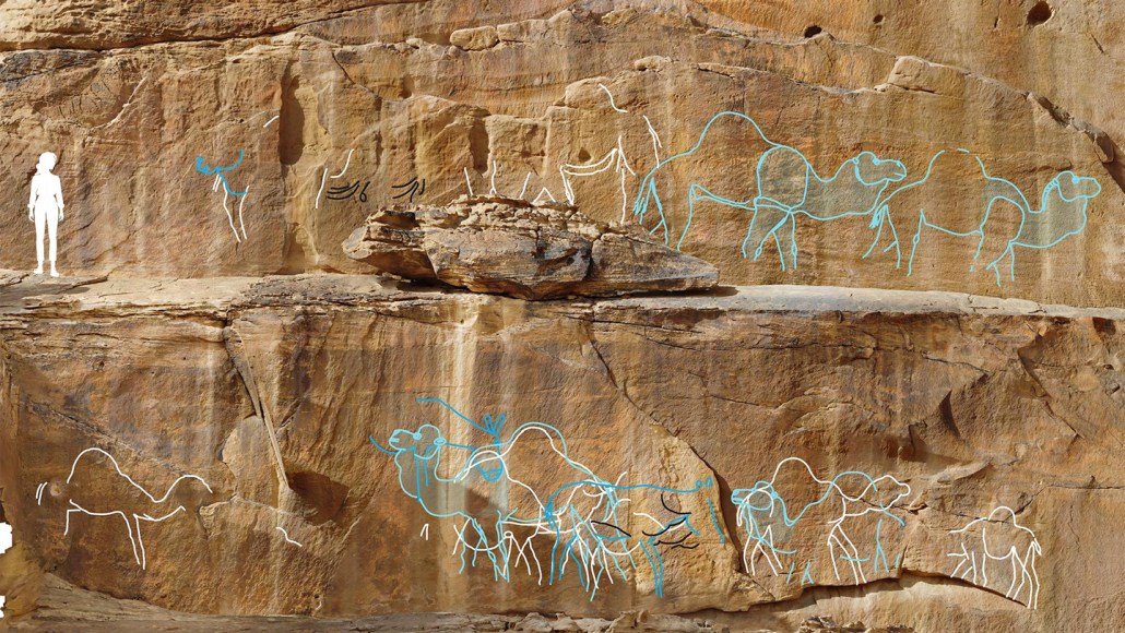 A rock face with life-size rock art engravings of camels found in the Arabian Desert with the silhouette of a woman overlayed on the image for scale.