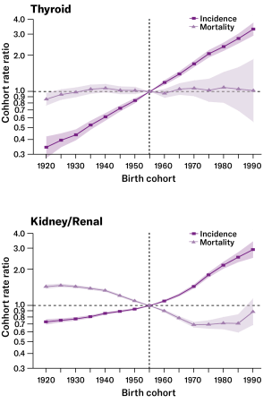 Charts showing rising rates of kidney and thyroid cancers