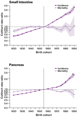 Charts showing rising rates of intestinal and pancreatic cancers