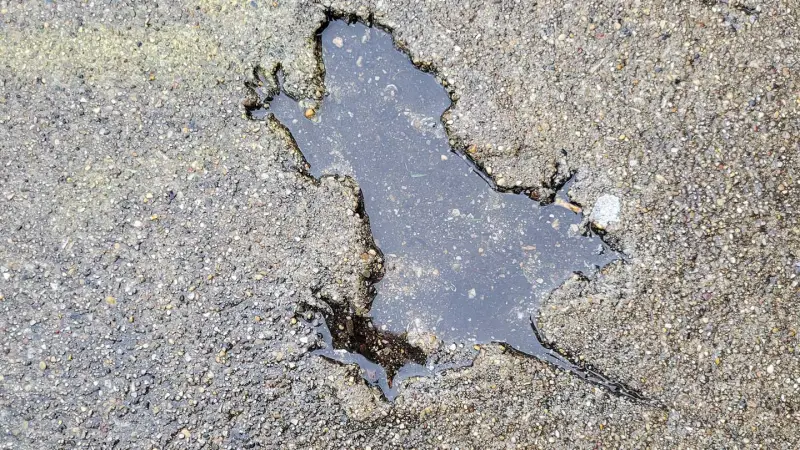 Water fills the crime scene-like outline of a critter that splatted into once-wet concrete, leaving an impression behind.