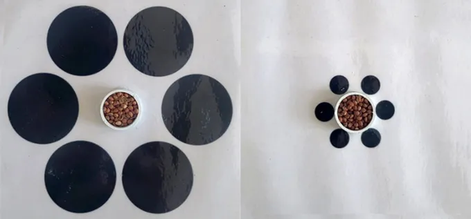 An Ebbinghaus illusion, with 6 black circles surrounding a bowl of millet seeds. 