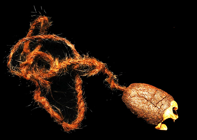 The tip of an ancient animal tooth pokes out of a holder made of resin. The item is attached to a string.