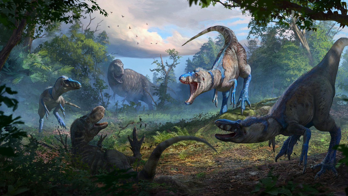 An illustration shows four T. rex looking dinos attacking a fifth in a jungly setting. The fallen dino is a juvenile T. rex and the four are a different diminutive species of tyrannosaur.