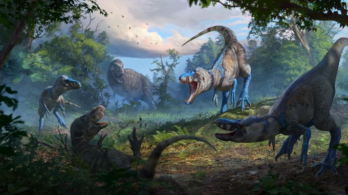 An illustration shows four T. rex looking dinos attacking a fifth in a jungly setting. The fallen dino is a juvenile T. rex and the four are a different diminutive species of tyrannosaur.