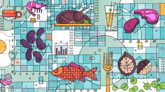 A illustration of different protein sources, including beans, meat, fish and other foods drawn over generic graphs and charts.