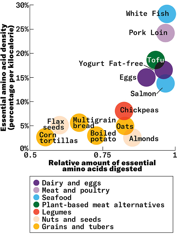 A chart showing the essential amino acid density of various foods as compared to the relative amount of those essential amino acids that are digested. Sources such as grains, nuts and seeds are shown to have low density and low digestible amino acids, whereas white fish and tofu are high for both categories.