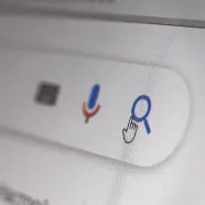 A closeup view of a computer screen shows a little hand icon about to hit the search button.
