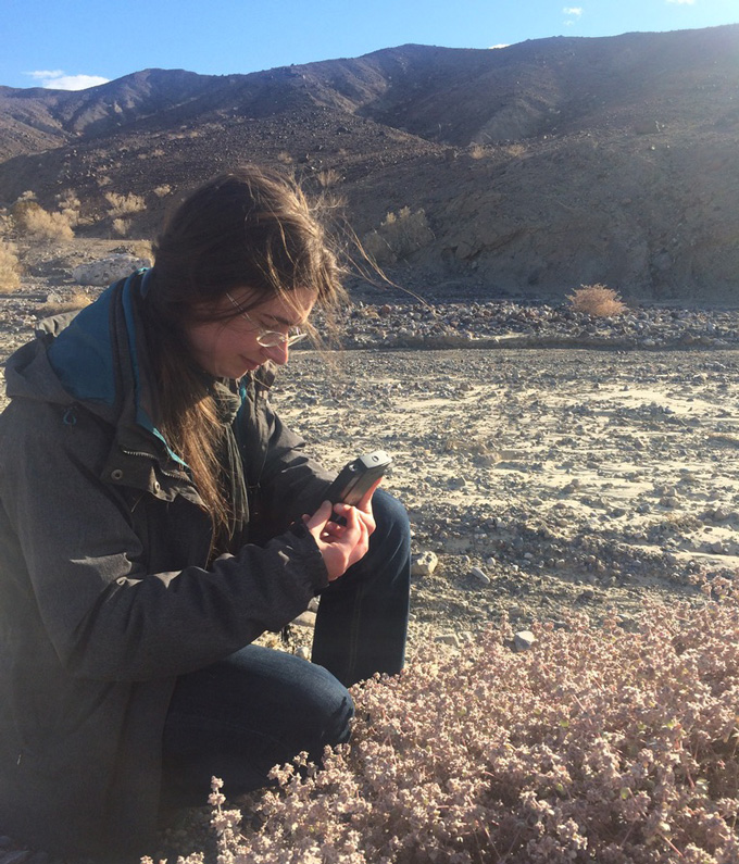 A person crouches in a rocky desert, examining a plant with a handheld device.