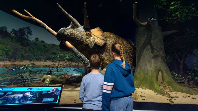 two people look at a life-size model of a triceratops.