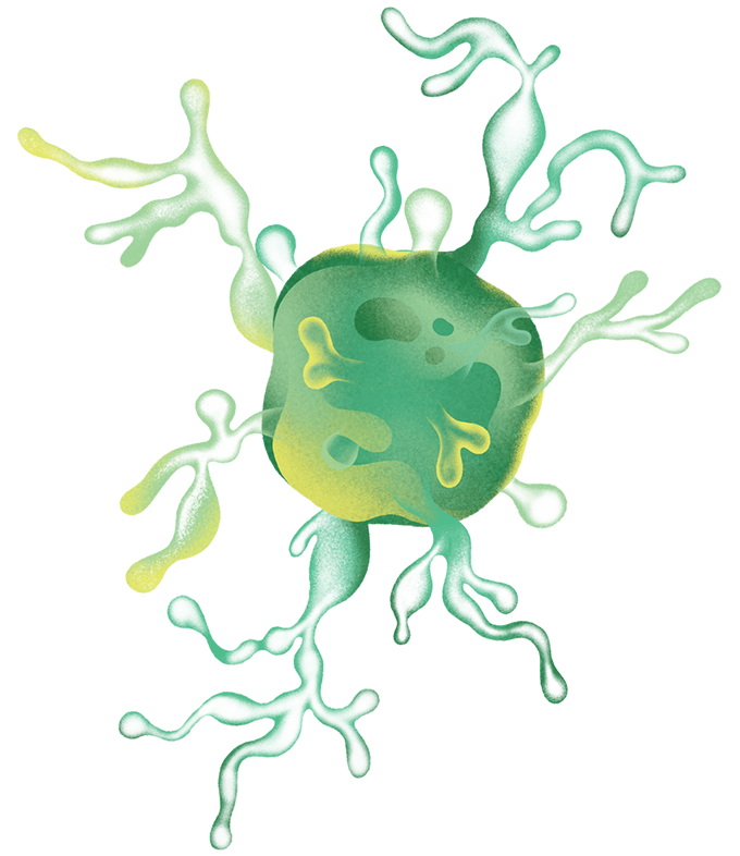 Illustration of archaea on a transparent background