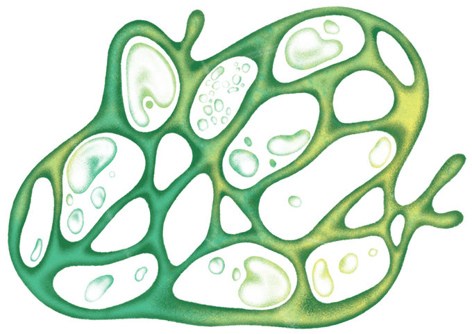 an illustration of a microbe
