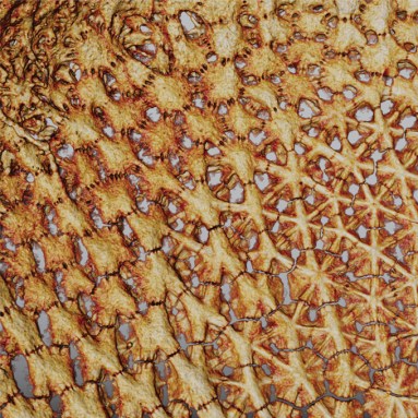 A yellow and brown image of the tilelike tesserae that cover a skate's cartilage skeleton