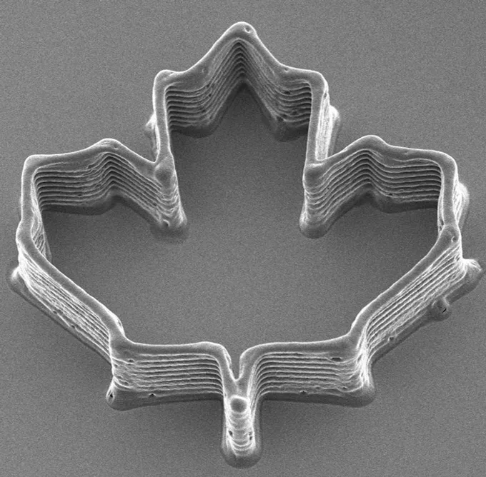 A tiny, layered 3-D printed structure shaped like a maple leaf rests on a smooth surface.