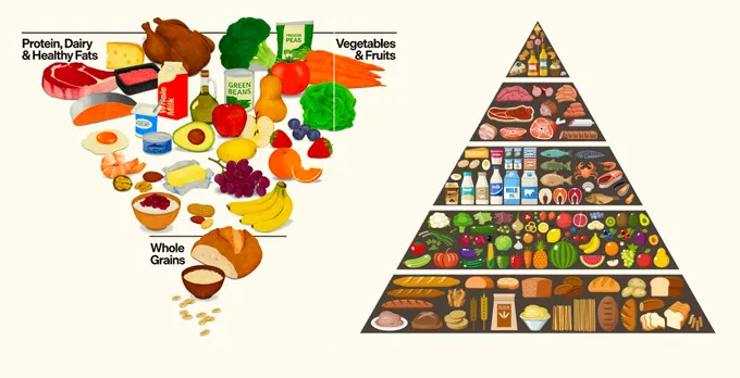 An illustration of the new food guide pyramid and an older one. 