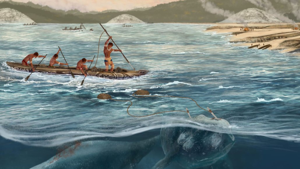 An illustration of ancient humans aboard a canoe hunting whales shown just below the surface.