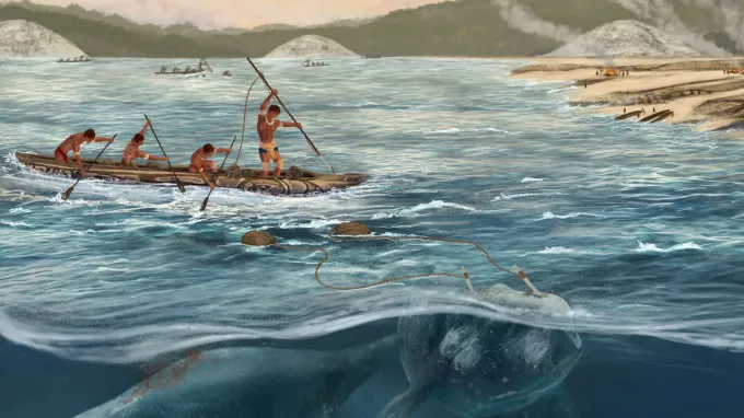 An illustration of ancient humans aboard a canoe hunting whales shown just below the surface.