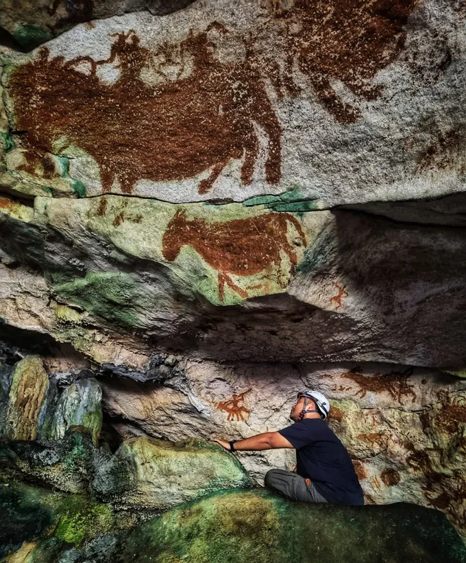 A researcher looks up at creatures painted on the walls of a cave in Indonesia. Several large donkeylike animals are rendered in this ancient rock art.