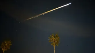 A fireball streaks across the sky high above the tops of two palm trees.