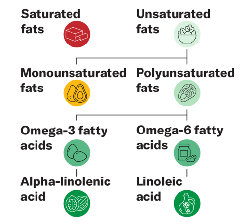 This diagram shows how different fats in our diet are related. Icons reveal an example of a food that we can get that fat from (avocados for a monounsaturated fat, for example).