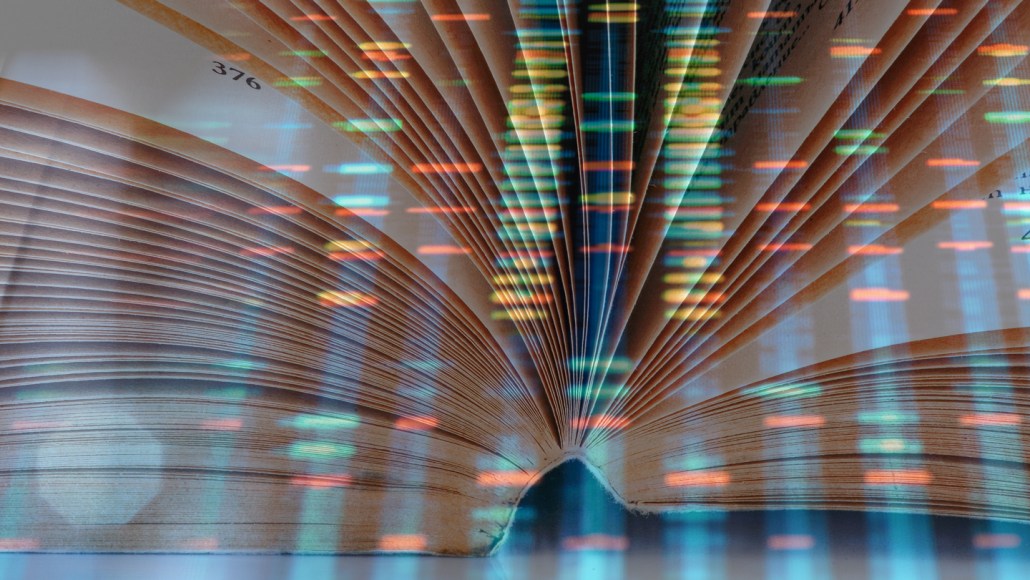 Ladderlike fluorescent patterns representing DNA sequence in blue, orange, yellow and green is overlayed on an image of an open book.