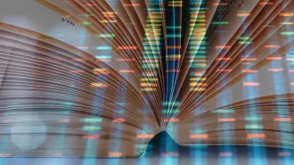 Ladderlike fluorescent patterns representing DNA sequence in blue, orange, yellow and green is overlayed on an image of an open book.
