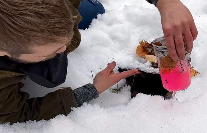 An ecologist checks a pitfall trap in the snow.
