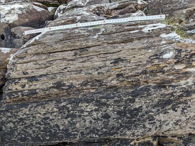 A geologic outcrop shows layered sedimentary rock with a measuring stick placed across the top for scale.