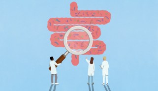 An illustration shows three scientists, one with an oversized magnifying glass. examining a large diagram of a human intestine filled with colorful microbes.