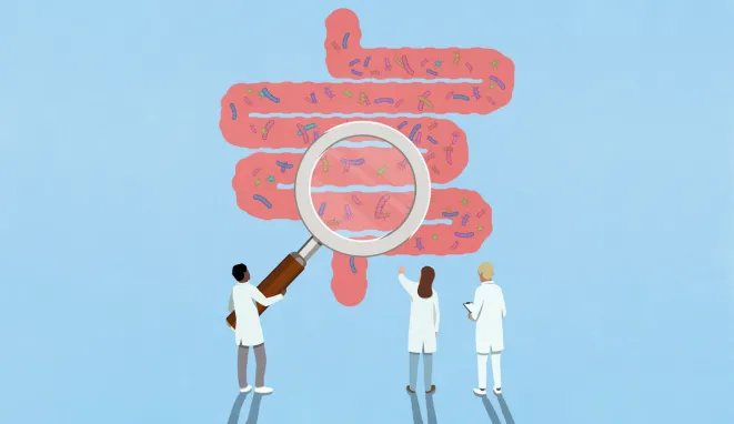 An illustration shows three scientists, one with an oversized magnifying glass. examining a large diagram of a human intestine filled with colorful microbes.