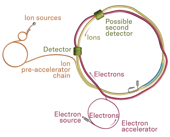 An illustration showing what happens during a collision using a Electron-Ion Collider