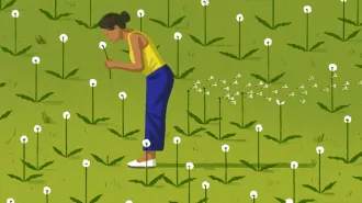 An illustration of a woman in a yellow shirt and jeans standing in a field smelling flowers and farting. Flower petals blow behind her.
