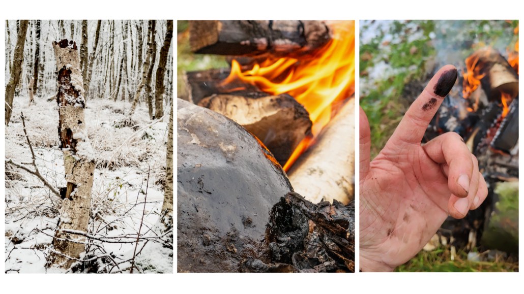 3 photo panels side by side. The first shows a birch tree stump in snow with bark peeling off. The second shows bark in a fire. The third shows a hand with black soot on the pointer finger with a fire in the background