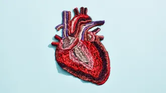 An embroidered heart is shown against a light blue background. The heart is centered in the image and is made of threads with various colors, mostly reds, pinks and purples. The arteries leading away from the heart are shades of red and the veins carrying blood to the heart are purple and pink.