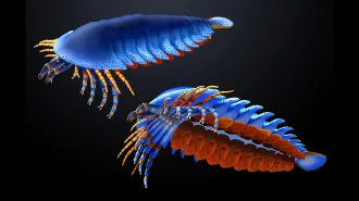 An illustration shows two views of a many-legged sea arthropod from above and below, highlighting its front claws and underside appendages.