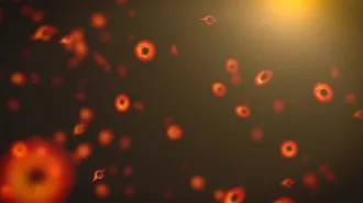 Many orange rings represent primordial black holes in an illustration