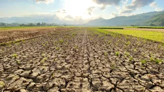 Ancient DNA might explain a bit about modern allergies, respresented here by a box of tissues in front of a blue background