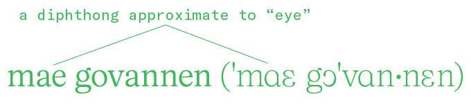 Post image 6