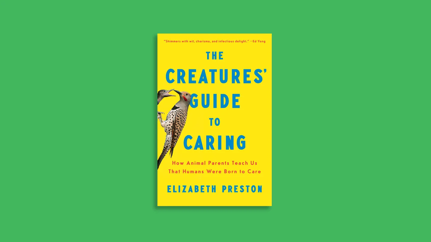A new book finds parenting inspiration in the animal kingdom