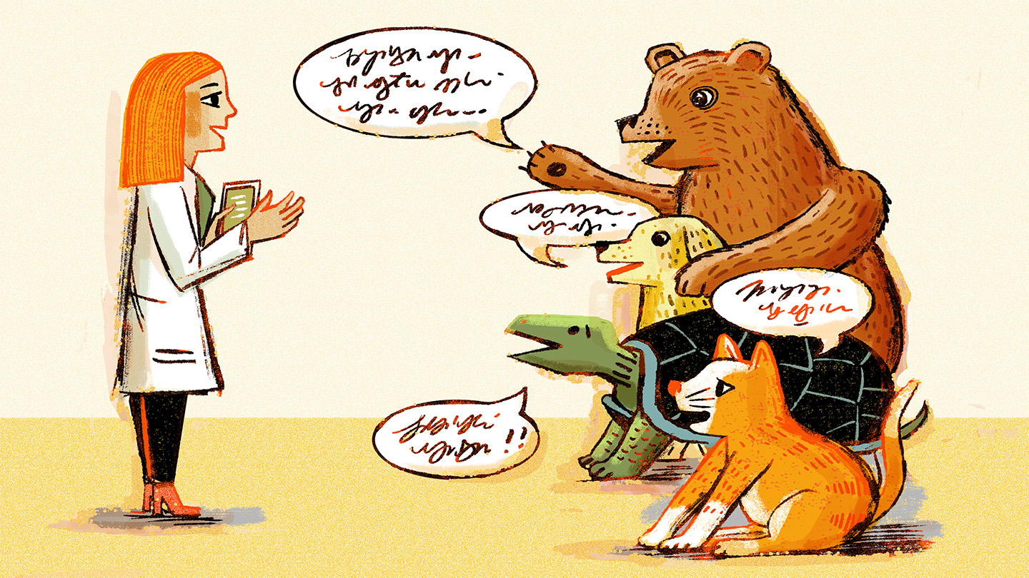 An ullustration shows a woman holding a tablet and appearing to talk with a variety of animals (a bear, dog, turtle and cat). The animals each have speech bubbles with what looks like a scribbled language in them.