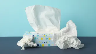A box of tissues for allergies