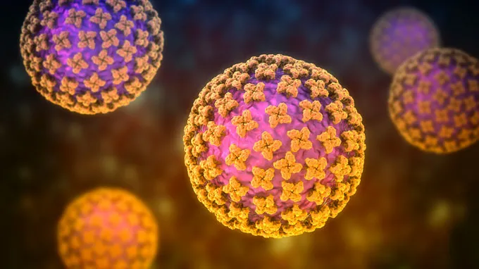 A computer generated image of purple-pink balls covered in orange structures resembling four-petaled flowers. This is an illustration of hantaviruses.