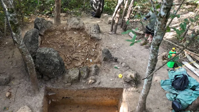 Skulls and other bones are visible within a circle of massive stone at a site in Laos that is being excavated. You can see a researcher and some excavation tools around the wooded site.