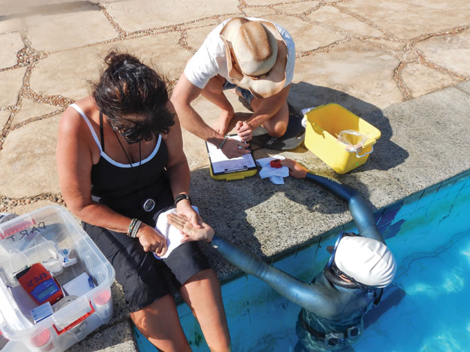 A woman sitting on the edge of a pool with her feet in the water holds the hand of a freediver who is in the pool. The freediver's other hand is being studied by a student in a cowboy hat.